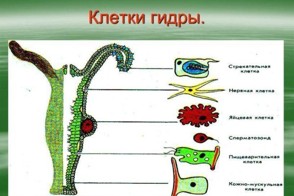 Кракен москва наркотики