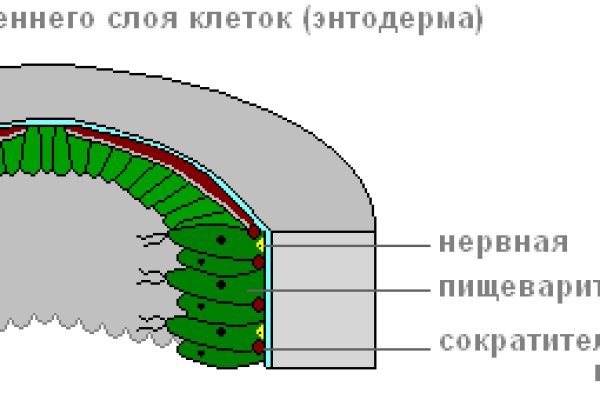 Кракен личный кабинет