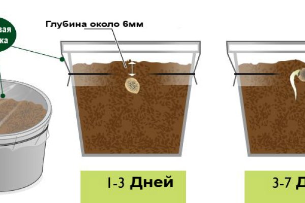 Кракен гидра даркнет