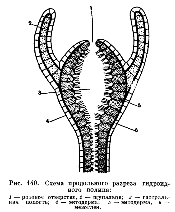 Кракен как попасть