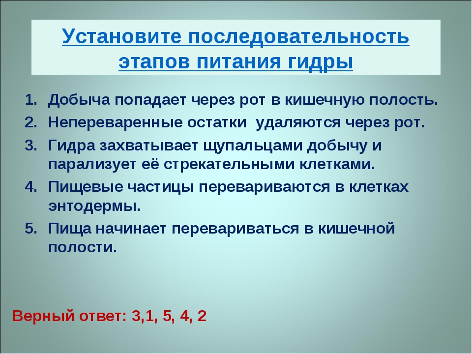 Как зайти на кракен через тор браузер